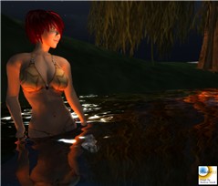 Snapshot_020