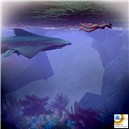 Snapshot_008
