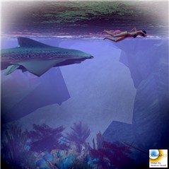 Snapshot_008