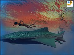 Snapshot_007