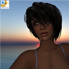 Snapshot carnval_048 copy