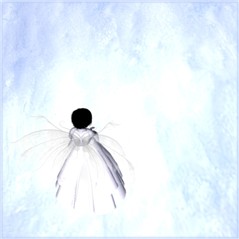 on a snowy evening