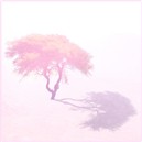 a tree
