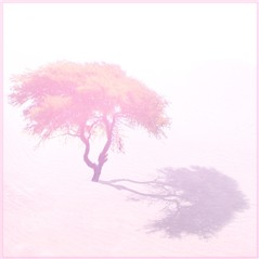 a tree