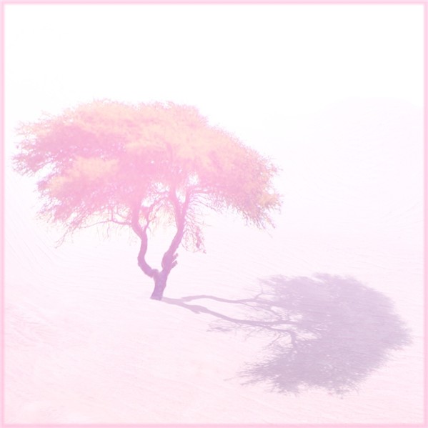 a tree