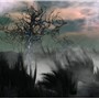 Tree In Fog