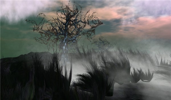Tree In Fog