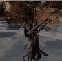 Tree and Sea