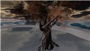 Tree and Sea