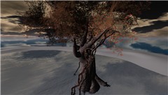 Tree and Sea