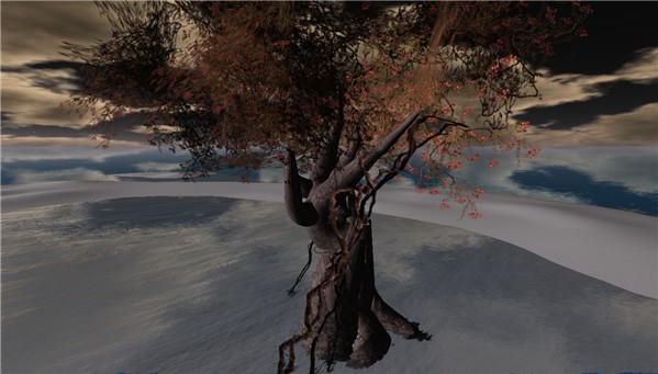 Tree and Sea