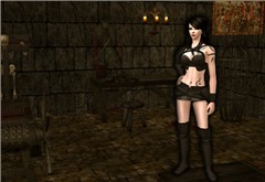 Dark Videl