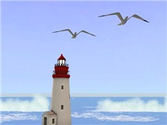 Flying Home