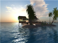 Pirol_1048