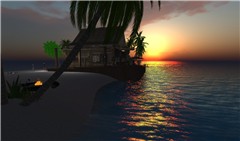 pirol_1595