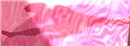 pink dance_013