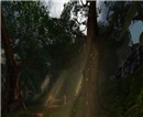Glade