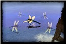 Dragonflies