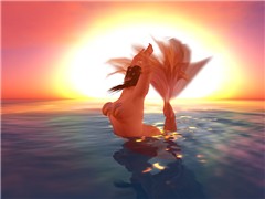 Mermaid's Delight