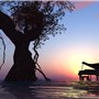 Perfect Harmony @ ChouChou