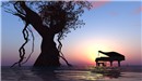 Perfect Harmony @ ChouChou