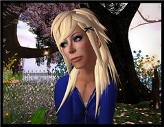 Blog Shot