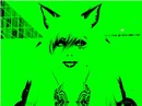 Snapshot_10_536