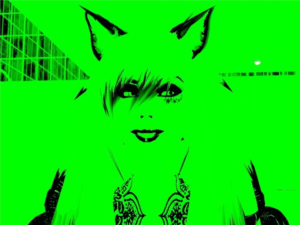Snapshot_10_536