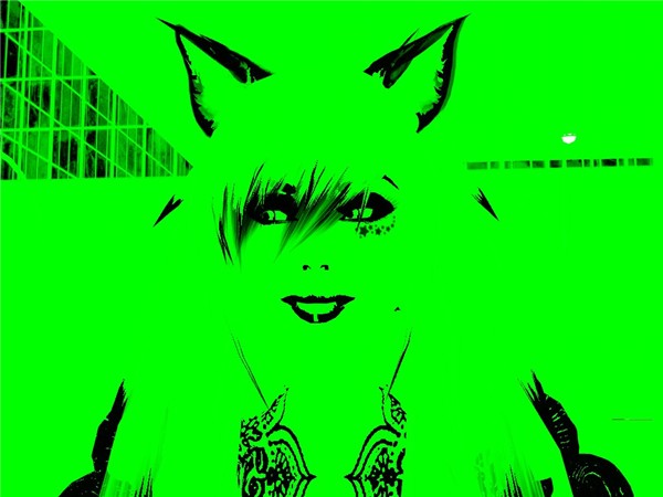 Snapshot_10_535