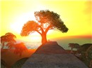 Snapshot_10_778