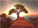 Snapshot_10_725