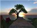 Snapshot_10_678
