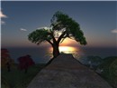 Snapshot_10_658