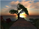 Snapshot_10_655