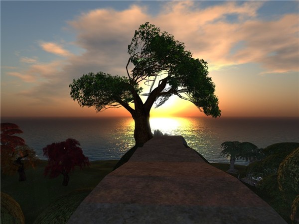 Snapshot_10_655