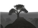 Snapshot_10_648