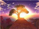 Snapshot_10_635