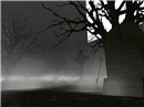 Snapshot_10_878