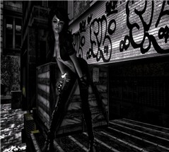 Sultrycity8