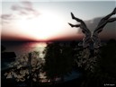 Peace in Apollo