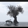 solitude