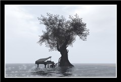 solitude