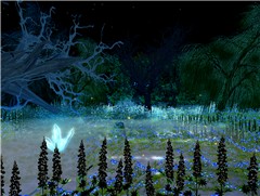 Kuja's Garden_contest