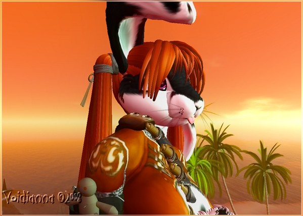 Piratebunny01