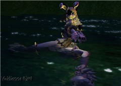 Bunnydance11