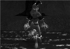 Bunnydance10