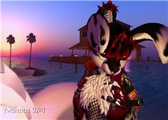 TravelFur03