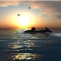 Snapshot_028