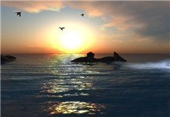 Snapshot_028