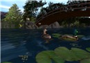 Lily Pad - Kei Beatty